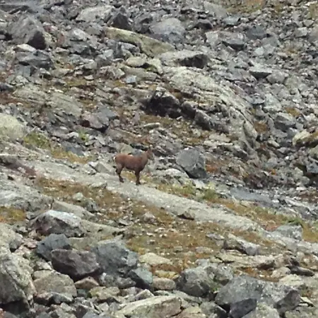 Le Clapier Lejlighed *