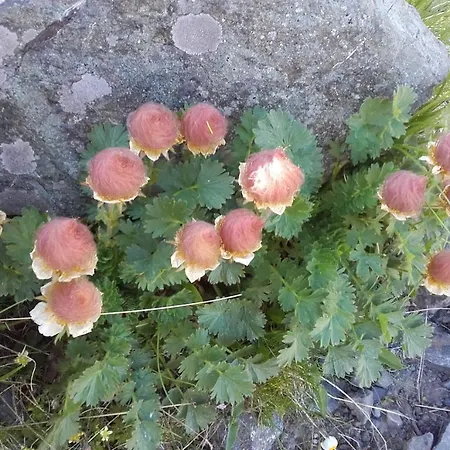 Lejlighed Le Clapier Theys